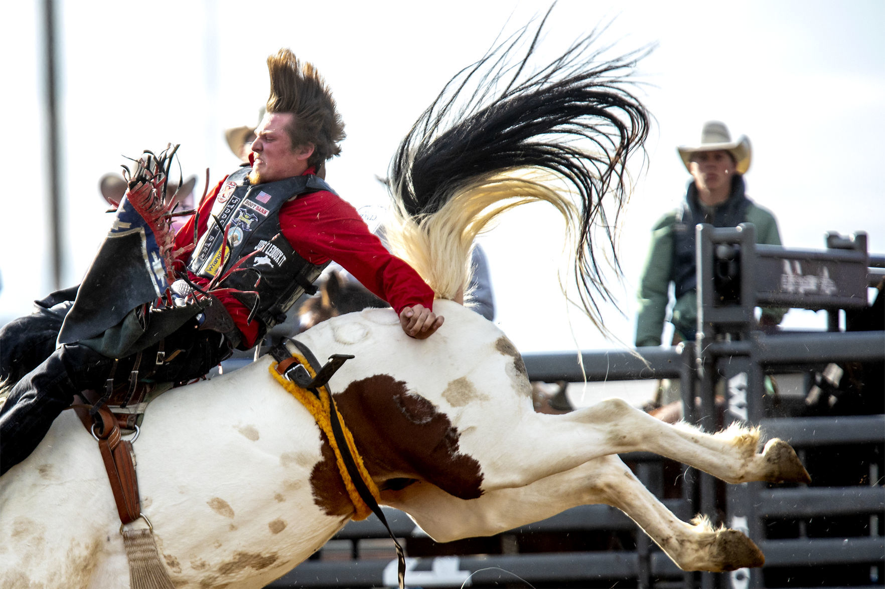 Rodeo gallery